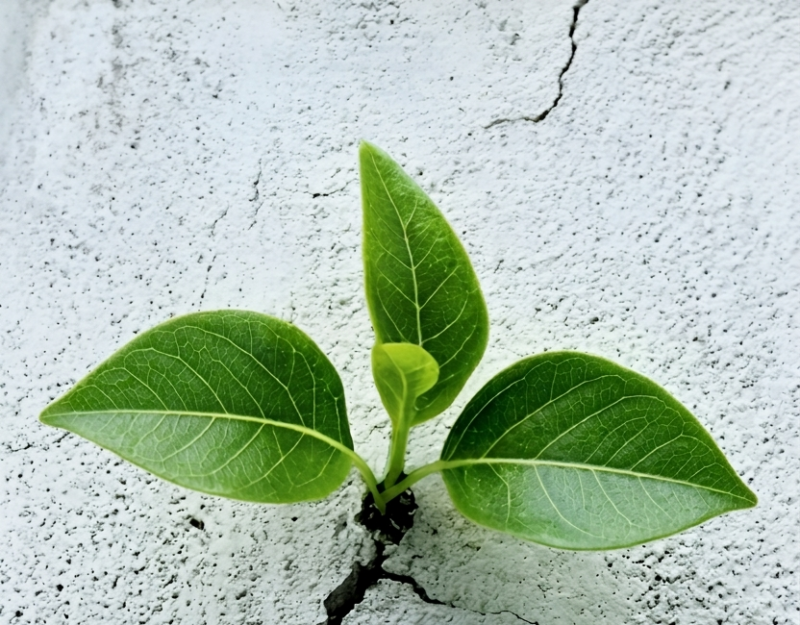 La resiliencia es clave en un mundo turbulento